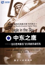 中东之鹰  一位以色列著名飞行员的作战经历 封面