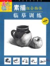素描组合物体临摹训练 封面