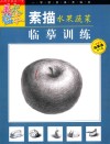 素描水果蔬菜临摹训练 封面
