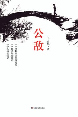 公敌 封面