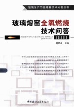 玻璃生产节能降耗技术问答丛书  玻璃熔窑全氧燃烧技术问答 封面