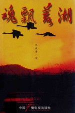 魂飘荒湖 封面