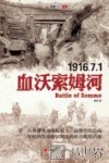 血沃索姆河 封面