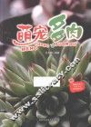 萌宠多肉 封面