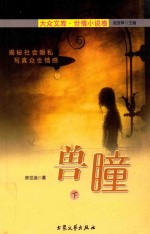 兽瞳  下 封面