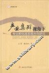 产业集群视角下专业孵化器发展方向研究 封面