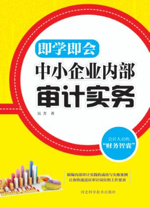中小企业内部审计实务 封面