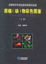 贵州省中药及民族药材质量标准原植（动）物彩色图鉴  下 封面