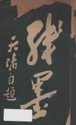 残墨 封面