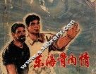 东海骨肉情 封面