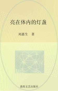 亮在体内的灯盏 封面
