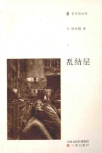 乱结层 封面