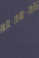 雄风·浩歌·当阳 封面