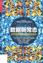 数据新常态  如何赢得指数级增长的先机  how the lnformation tidal wave is driving new business opportunities 封面