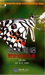 常见蝴蝶野外识别手册  第2版 封面