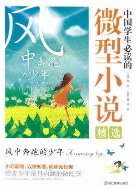 风中奔跑的少年 封面