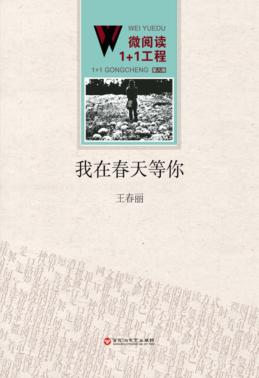 我在春天等你 封面