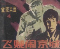 飞贼闹京城  《金陵大盗》  4 封面