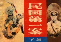民国第一案  下 封面