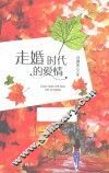走婚时代的爱情 封面