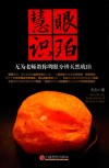 慧眼识珀  无为老师教你明眼分辨天然琥珀 封面