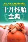 十月怀胎全典 封面