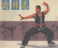 连环画  武林志 封面