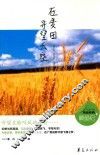 在麦田守望天空 封面