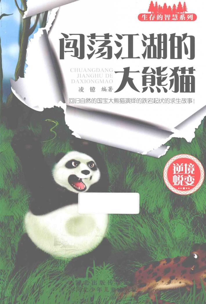 闯荡江湖的大熊猫 封面