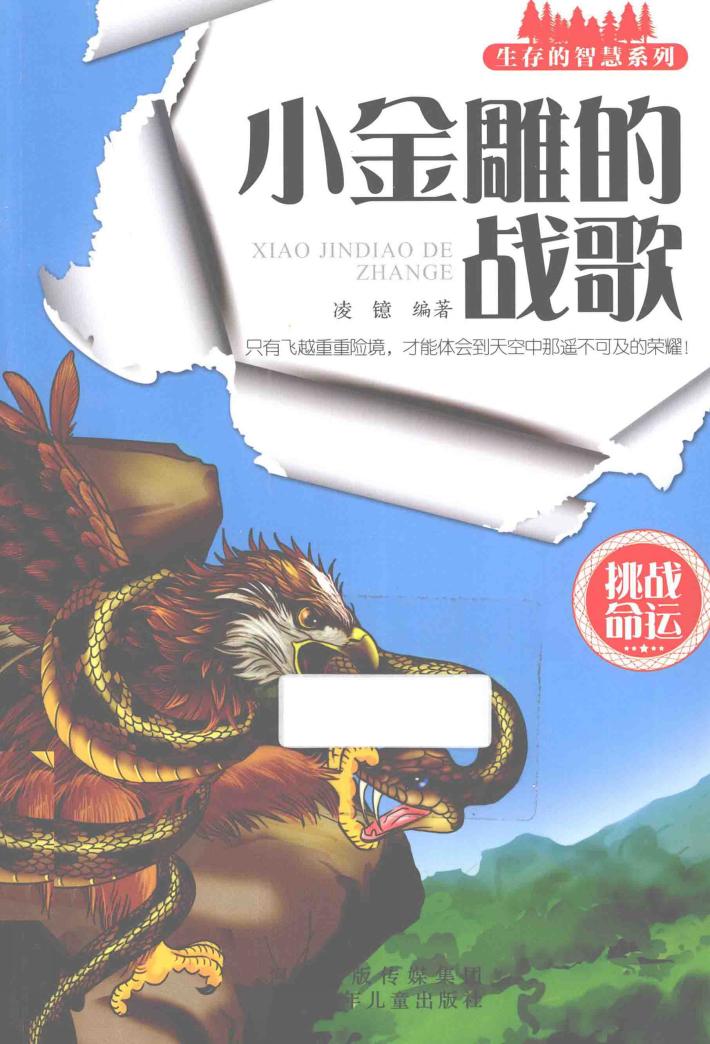 小金雕的战歌 封面