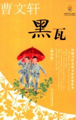 黑瓦  美绘版 封面