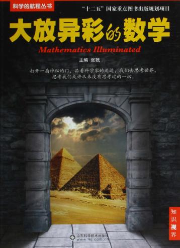 大放异彩的数学 封面