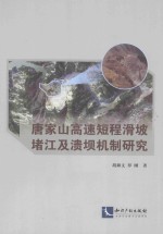 唐家山高速短程滑坡堵江及溃坝机制研究 封面