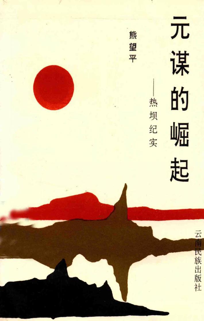 元谋的崛起  热坝纪实 封面