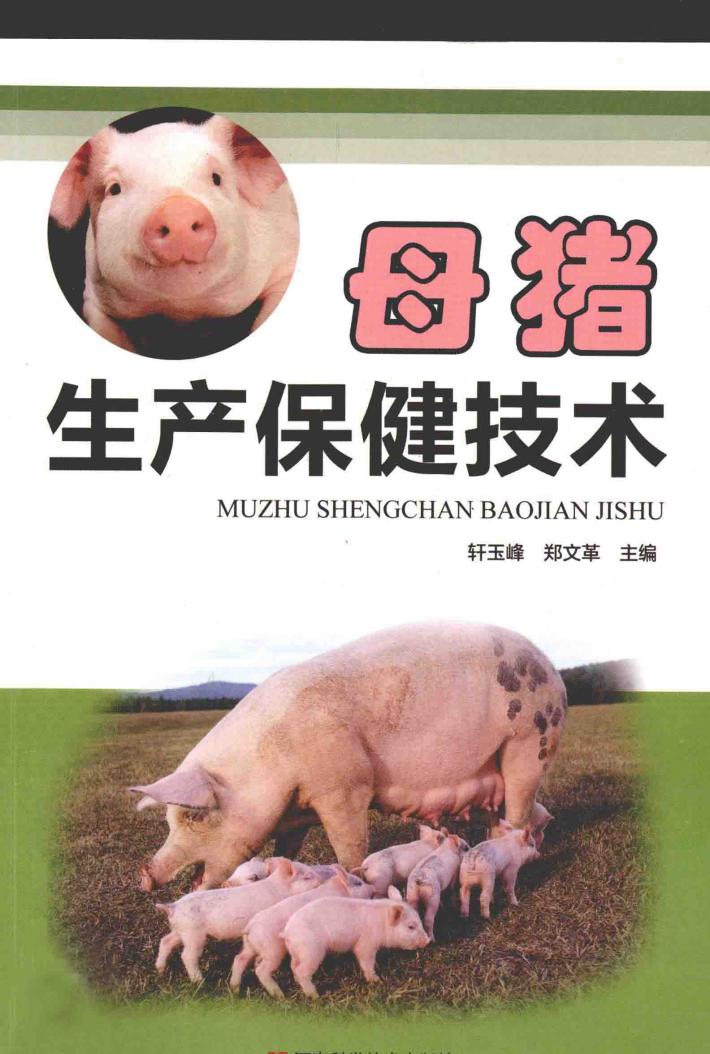 母猪生产保健技术 封面