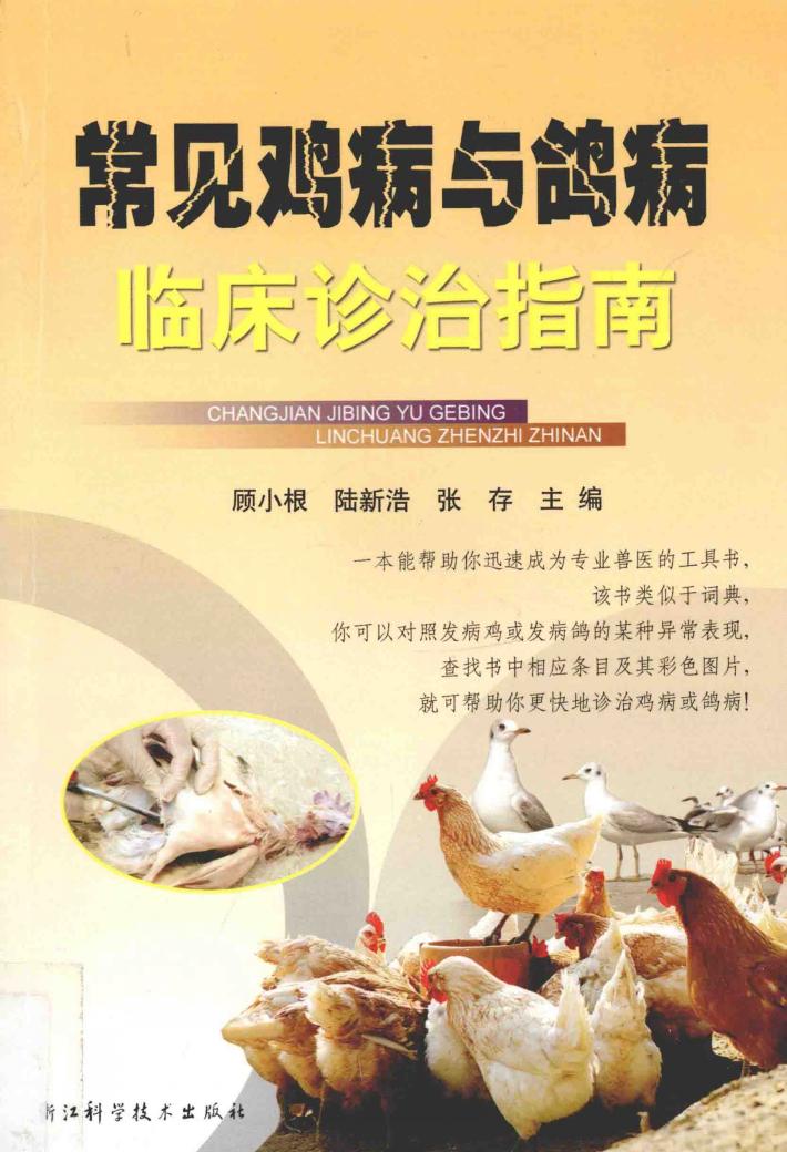 常见鸡病与鸽病临床诊治指南 封面