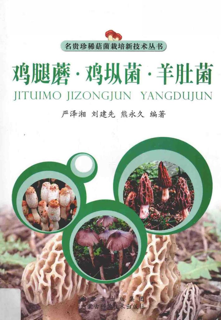 鸡腿蘑鸡〓菌羊肚菌 封面