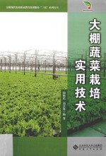 大棚蔬菜栽培实用技术 封面