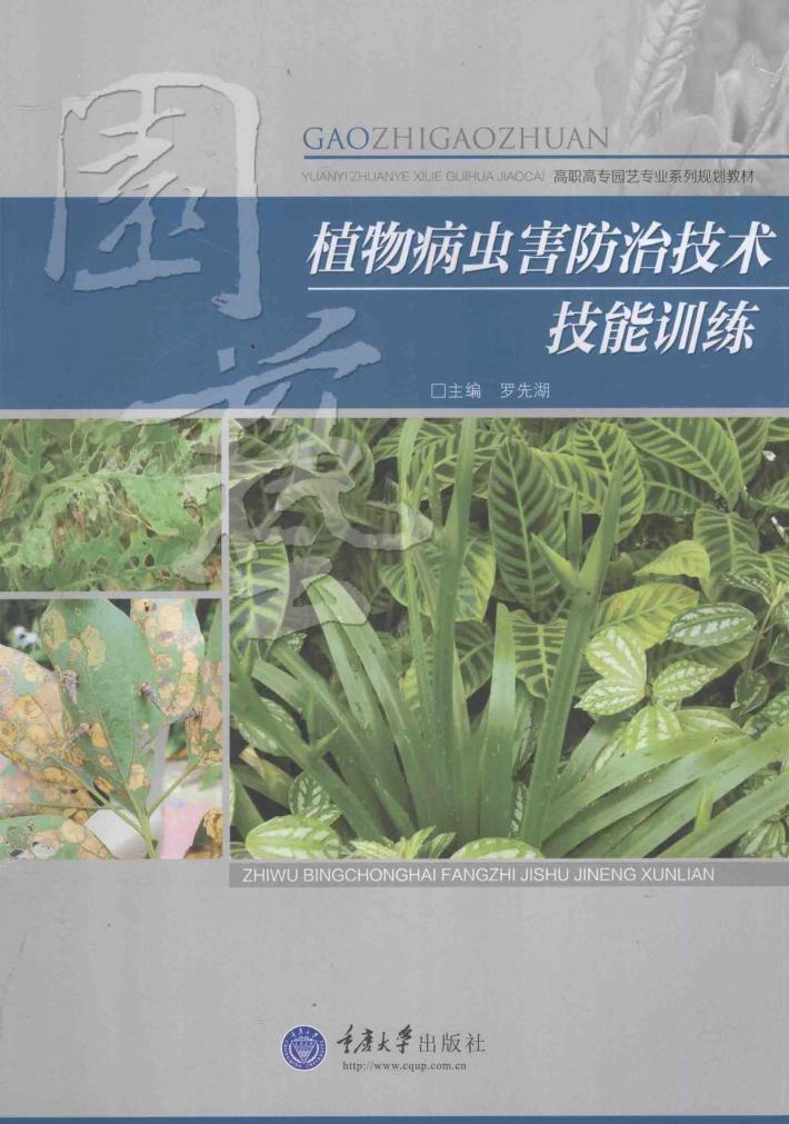 植物病虫害防治技术技能训练 封面