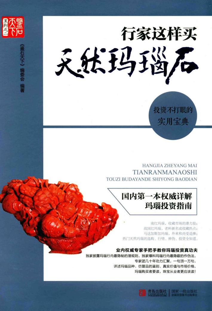 行家这样买天然玛瑙石  投资不打眼的实用宝典 封面