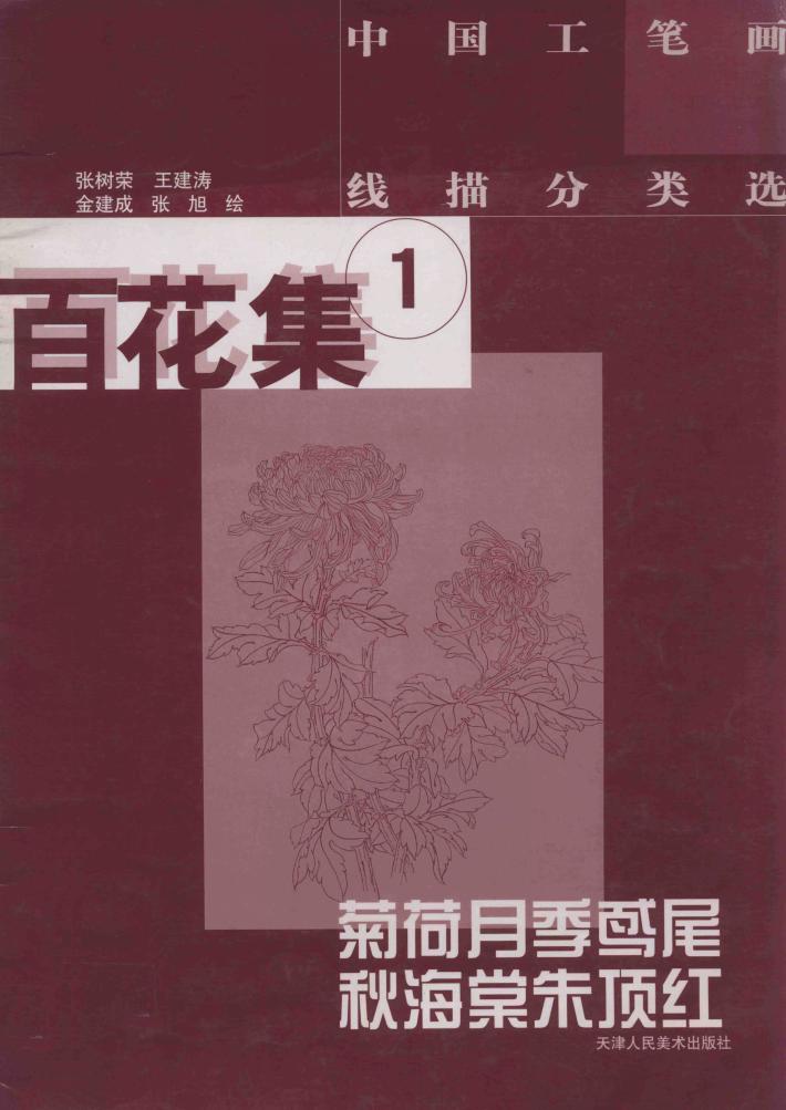 中国工笔画线描分类选  百花集  1  菊荷月季鸢尾秋海棠朱顶红 封面