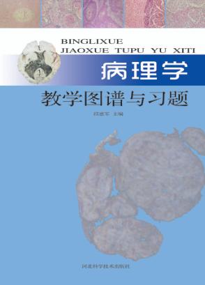 病理学教学图谱与习题 封面