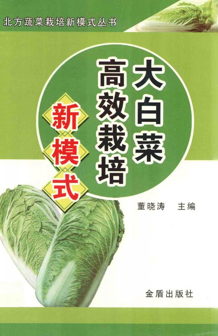 大白菜高效栽培新模式 封面