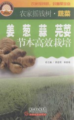 姜葱蒜芫荽节本高效栽培 电子书封面