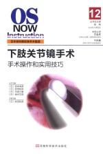 手术操作和实用技巧  12  下肢关节镜手术 封面