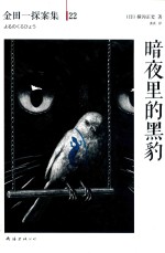 暗夜里的黑豹 封面