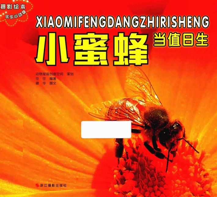 乐乐小动物丛书  小蜜蜂当值日生 封面
