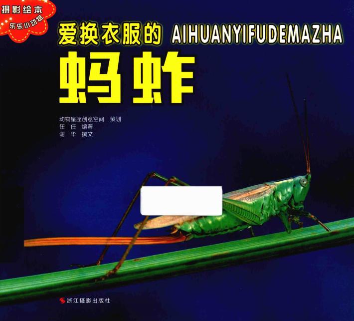 乐乐小动物丛书  爱换衣服的蚂蚱 封面