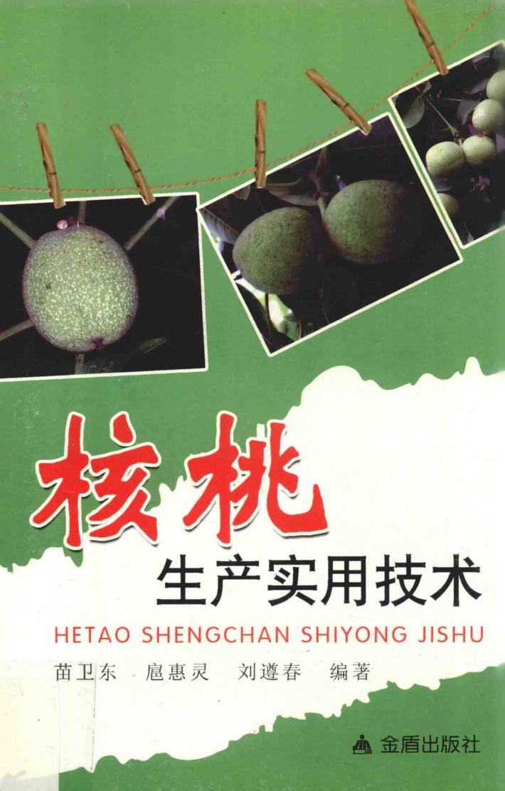 核桃生产实用技术 封面