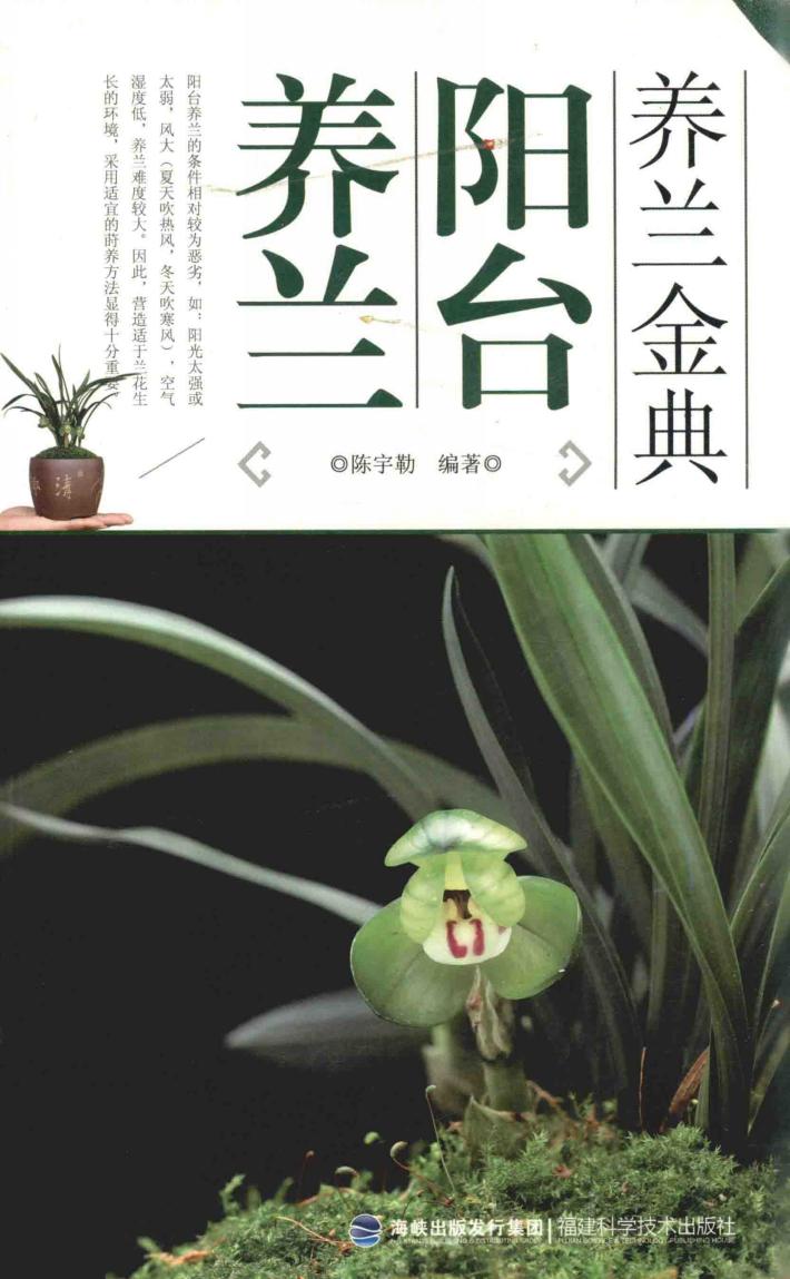 养兰金典  阳台养兰 封面